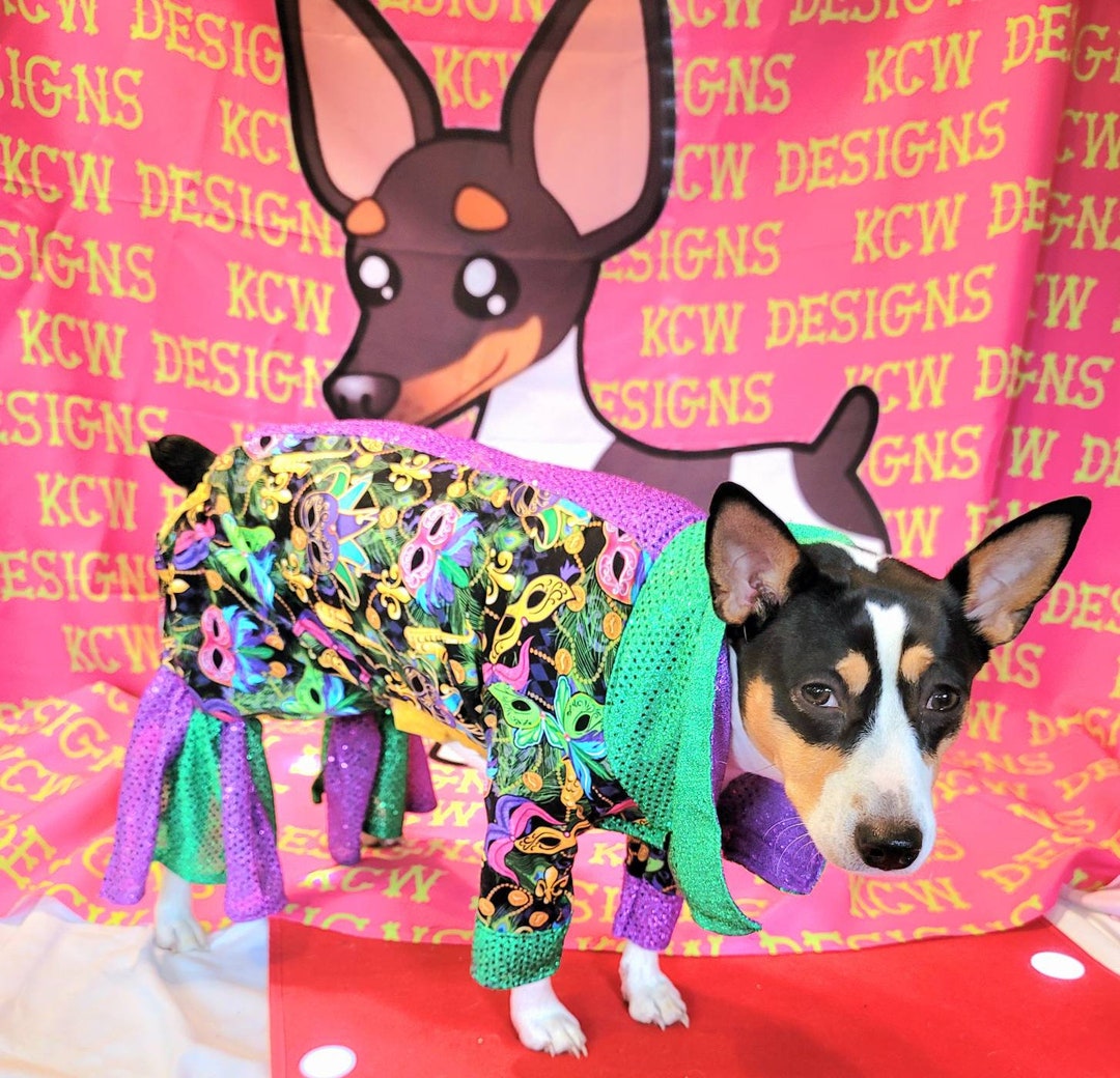 Mardi Gras Male Pet Outfit Mardi Gras Pet Body Suit Fat - Etsy
