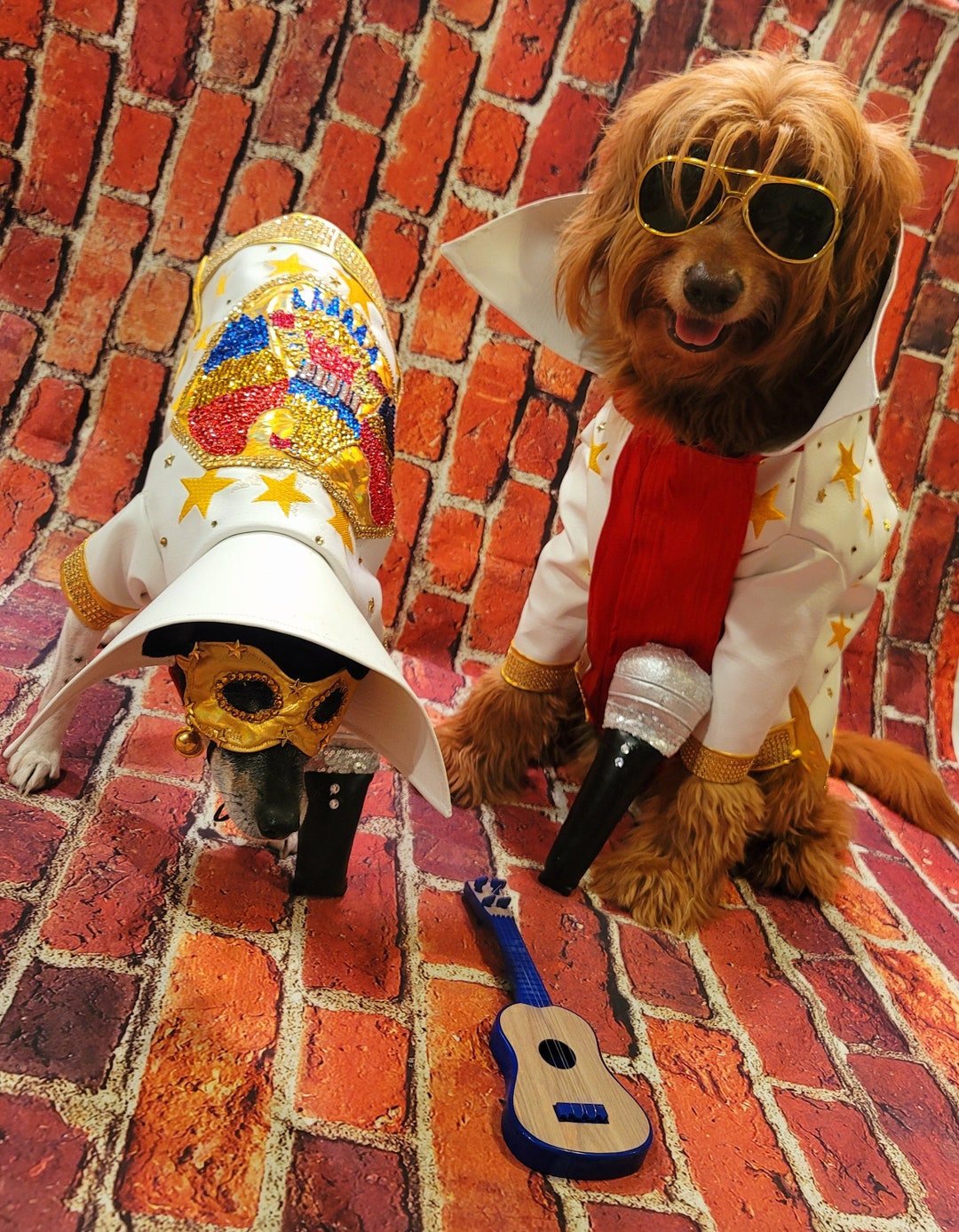 Elvis Pet Costume the King Pet Costume Elvis Dog Costume Etsy