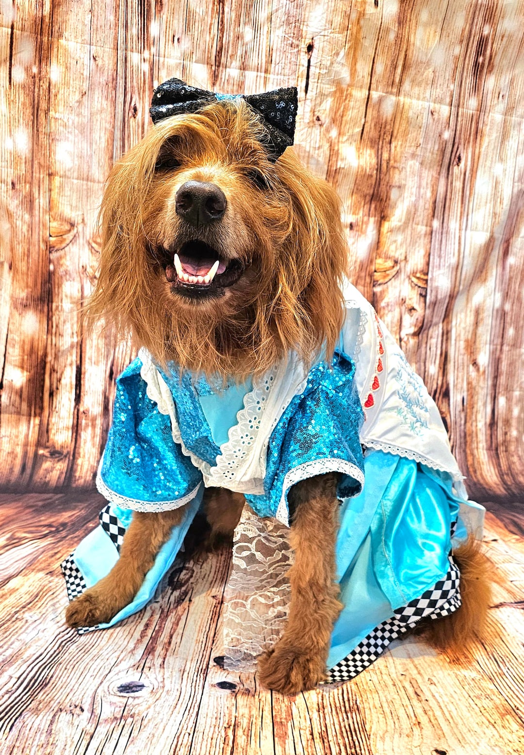 Alice in Wonderland Pet Costume, Alice in Wonderland Dog Costume, Alice