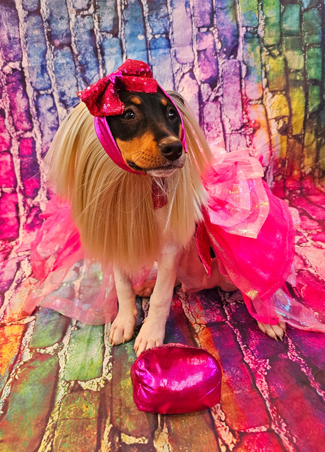 Barbie dog clothes hotsell