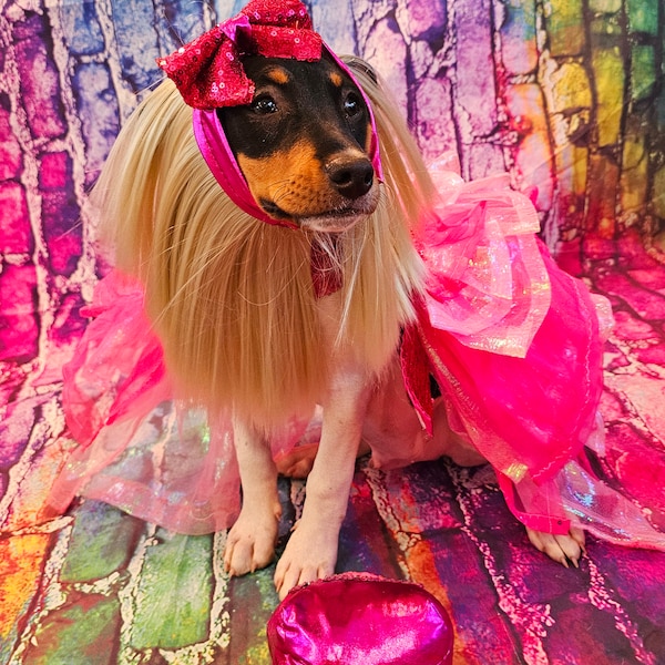 Disfraz de mascota Barbie, disfraz de perro Barbie, disfraz de gato Barbie, disfraz de mascota muñeca, disfraz de Barbie de Halloween, muñeca Barbie perro, muñeca Barbie mascota