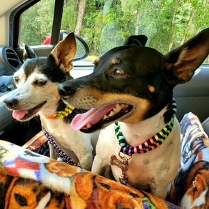 Pet, Cat, Dog Car Booster Seat/Pet Bed Dog Car Seat for Dogs Cat Car Seat image 5