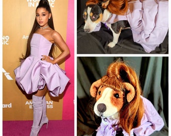 Ariana Grande Pet Costume, Ariana Grande dog costume, high ponytail pet costume, pet wig costume, Ariana Grande high pony tail dog costume