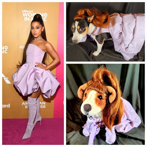 Ariana Grande Pet Costume, Ariana Grande dog costume, high ponytail pet costume, pet wig costume, Ariana Grande high pony tail dog costume