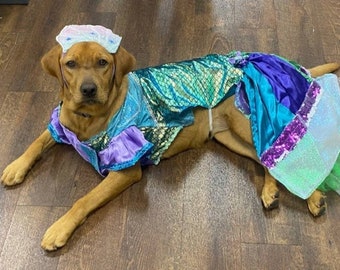 Traje de mascota de sirena, traje de sirena mascota, traje de mascota de sirena pequeña, traje de perro sirena, traje de gato sirena, traje de mascota de Halloween