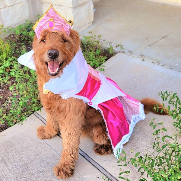 Sleeping Beauty pet costume, sleeping beauty revisable pet costume, Sleeping Beauty is it pink is it blue pet costume, Aurora dog costume