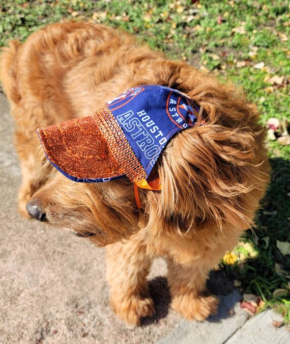 Pet Sequin Hat Pet Astros Sequin Hat Dog Astros Sequin Hat 