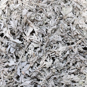 low sage