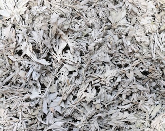 White Sage Clusters Bulk Loose Leaf White Sage for Cleansing, Purification, and Negativity Clearing by the Ounce or Pound