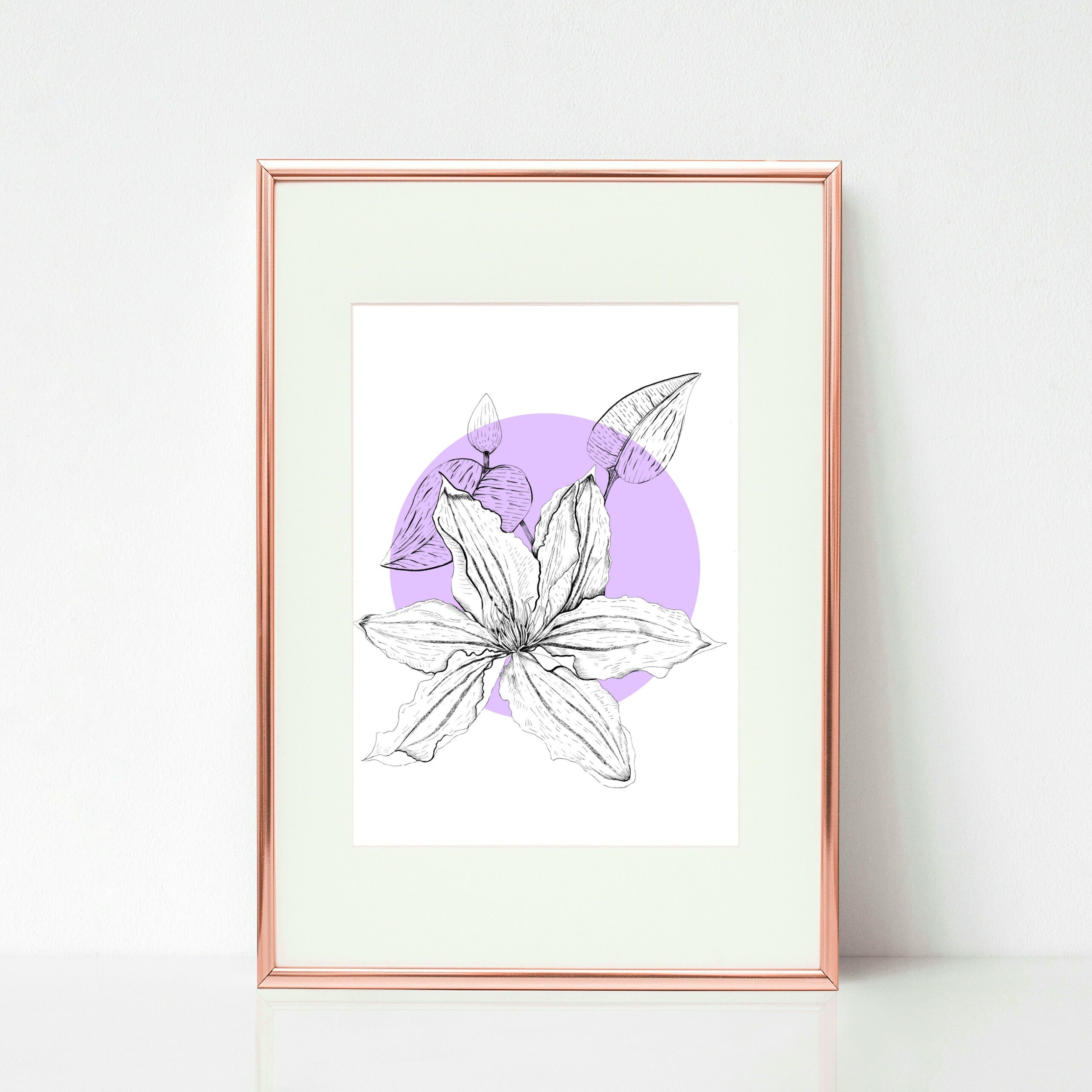 Hand-drawn Clematis Flower Fine Liner Illustration Bold | Etsy