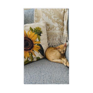 Sleeping Ginger Cat with Sunflower Hand Towel | Cozy Sofa Print