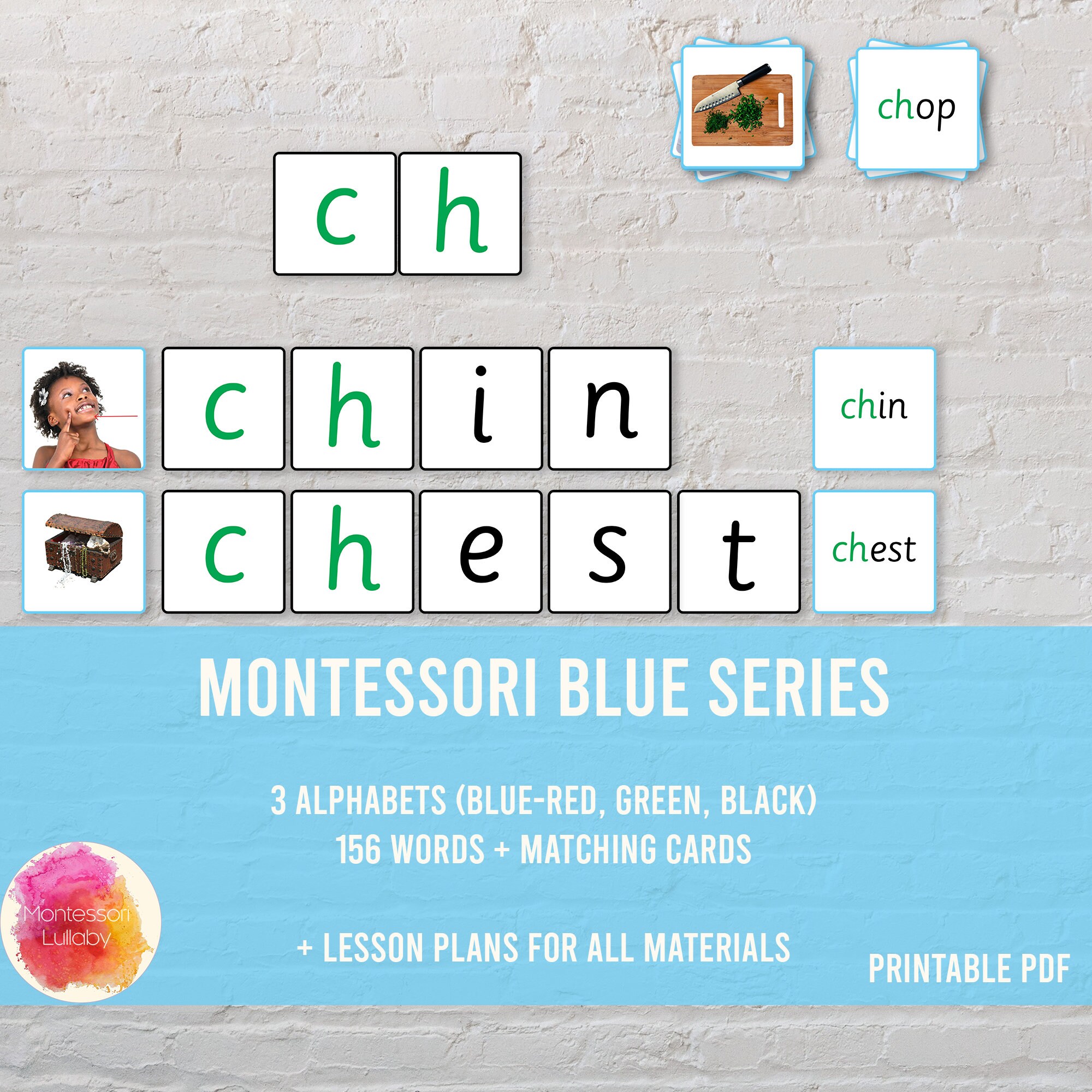 BLUE SERIES MONTESSORI Words and Pictures Matching Cards Red/blue ...