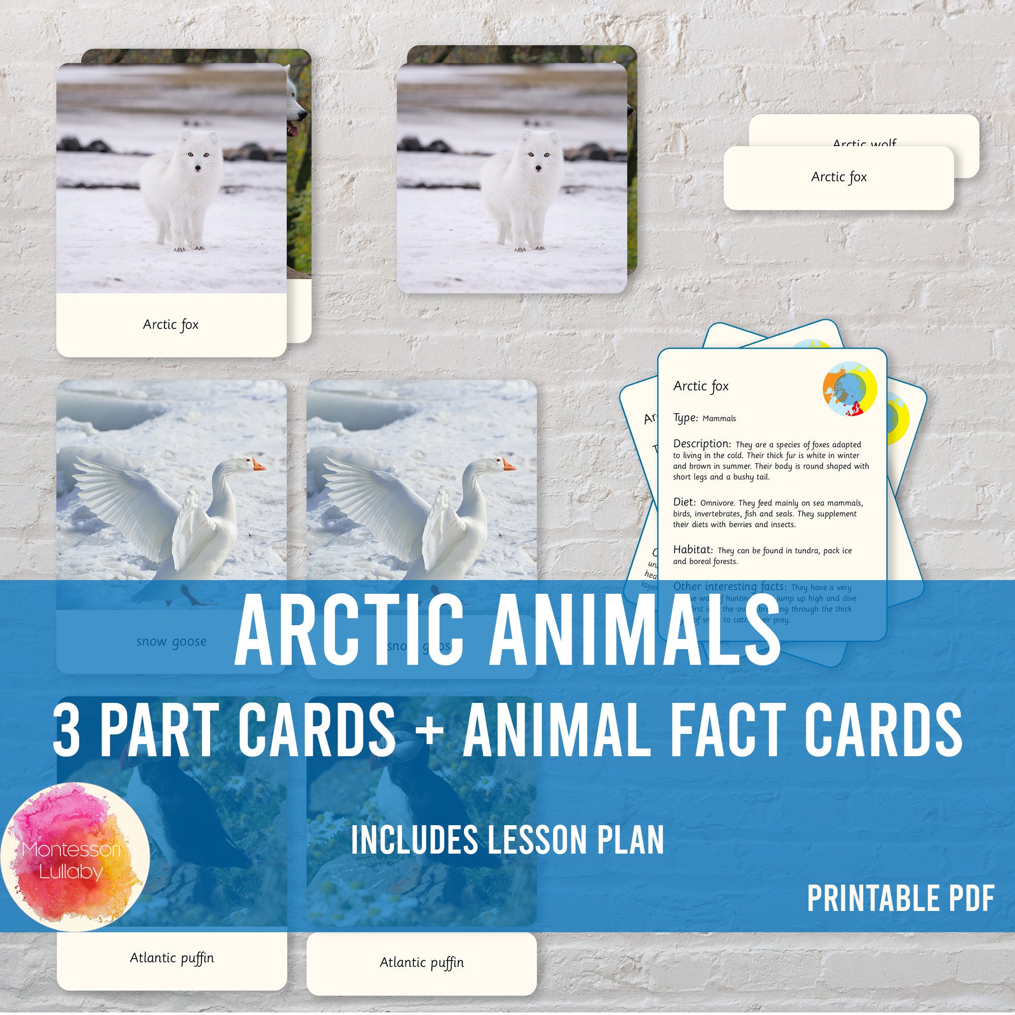 ARCTIC ANIMALS Three Part Cards Lesson Plan Animal Facts - Etsy ARCTIC ANIMALS Three Part Cards Lesson Plan Animal Facts - Etsy