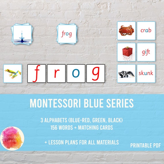 BLUE SERIES MONTESSORI Words and Pictures Matching Cards | Etsy