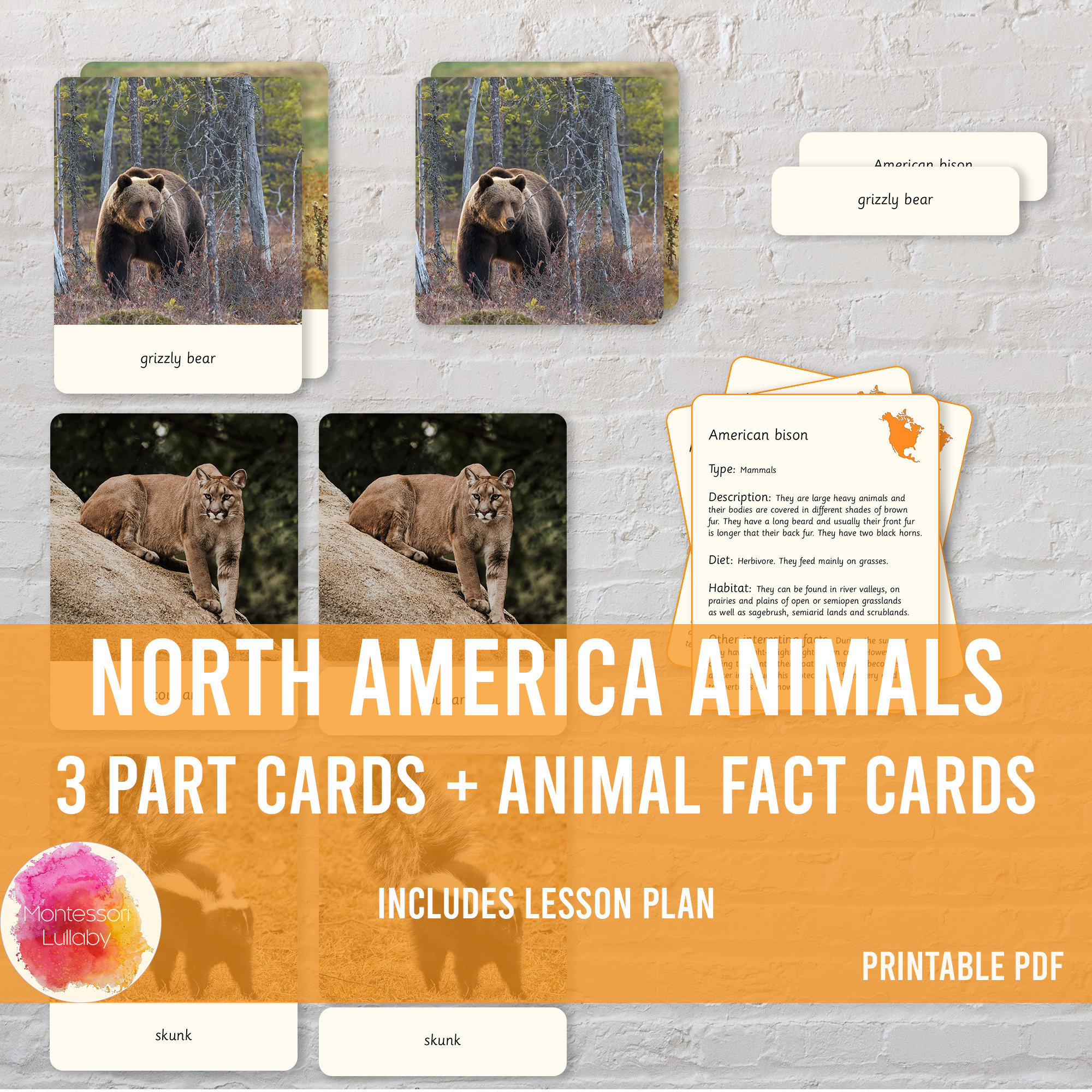 NORTH AMERICA ANIMALS Three Part Cards Lesson Plan Animal | Etsy