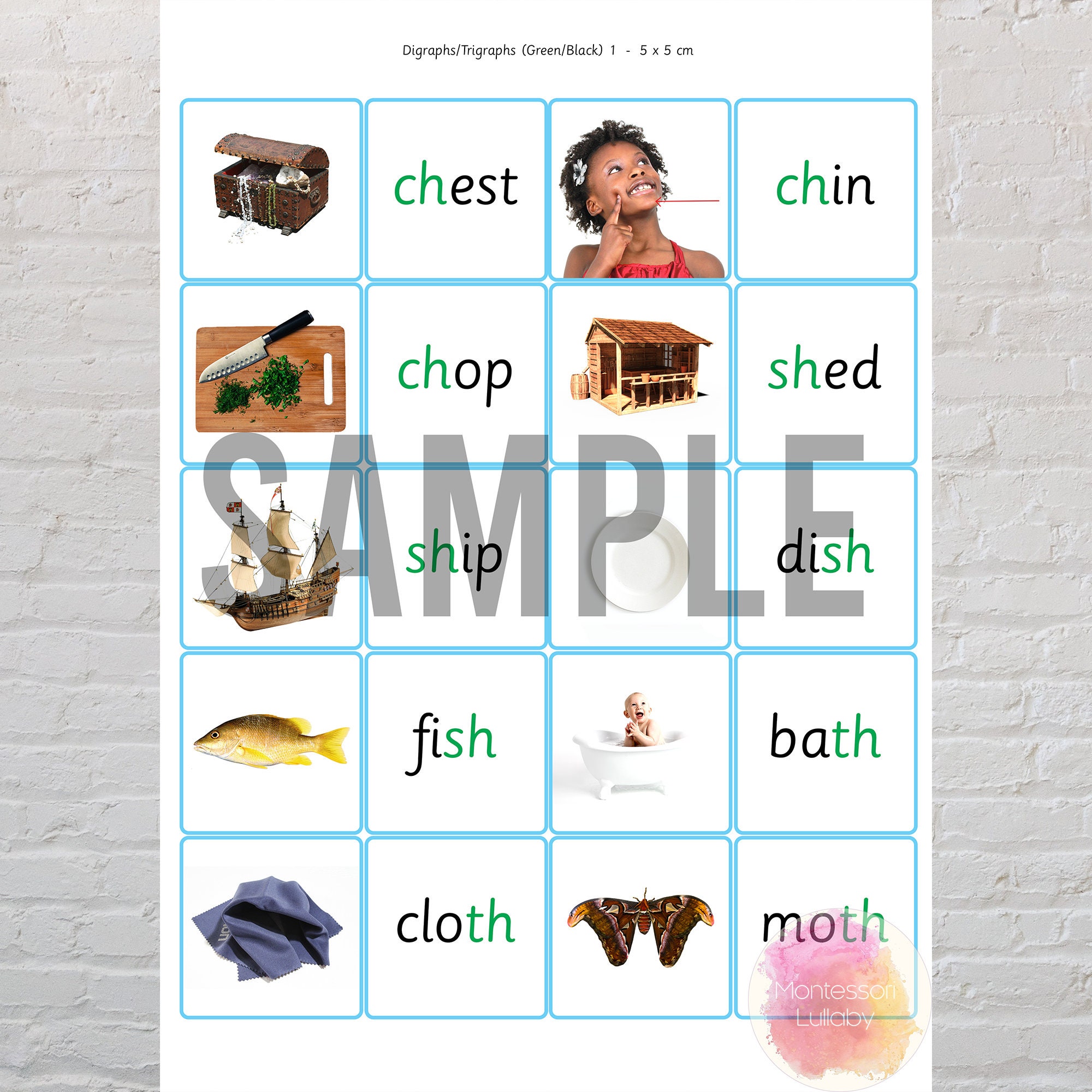 BLUE SERIES MONTESSORI Words and Pictures Matching Cards Red/blue ...
