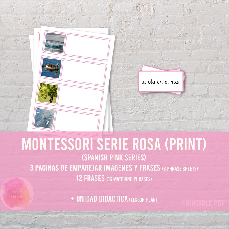 Spanish Pink Series Print Lesson plan SERIE ROSA MONTESSORI Sentences Matching Cards Digital Download Phrases