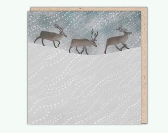 Artist's Christmas Card, 'Reindeer in the Snow' by Tjitske Kamphuis, PaperBird. NEW!