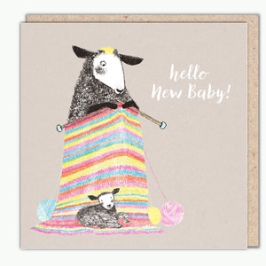 Couverture Woolly's Rainbow par Una Joy