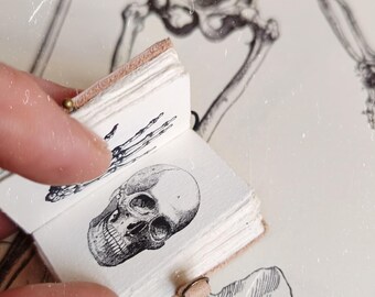 Anatomy art - gift for doctor and nurse anatomy gift - Gift for doctor - Medical student - Medicine anatomy illustrations - student medicine