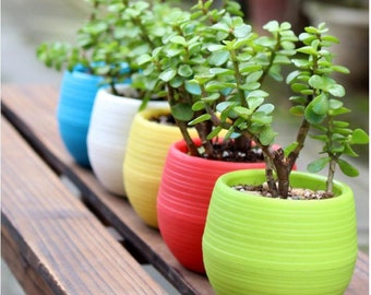 Plastic Flower Pots Etsy