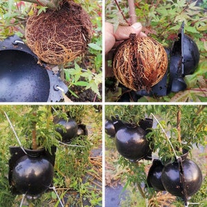 Air layering Plant High Pressure propagation ball Grafting Rooting Device Root growing ball image 1