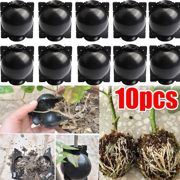 10 small Reusable Plant Rooting air layering High-Pressure Box Grafting