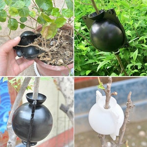 Air layering Plant High Pressure propagation ball Grafting Rooting Device Root growing ball image 9