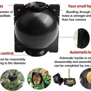 Air layering Plant High Pressure propagation ball Grafting Rooting Device Root growing ball image 4