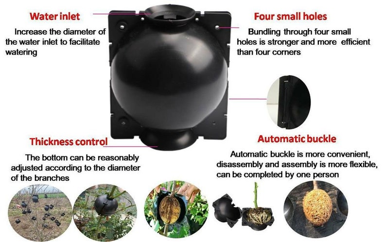 Air layering Plant High Pressure propagation ball Grafting Rooting Device Root growing ball image 4