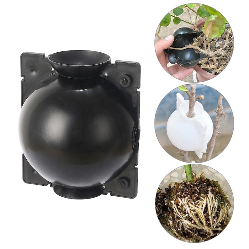 Air layering Plant High Pressure propagation ball Grafting Rooting Device Root growing ball image 10