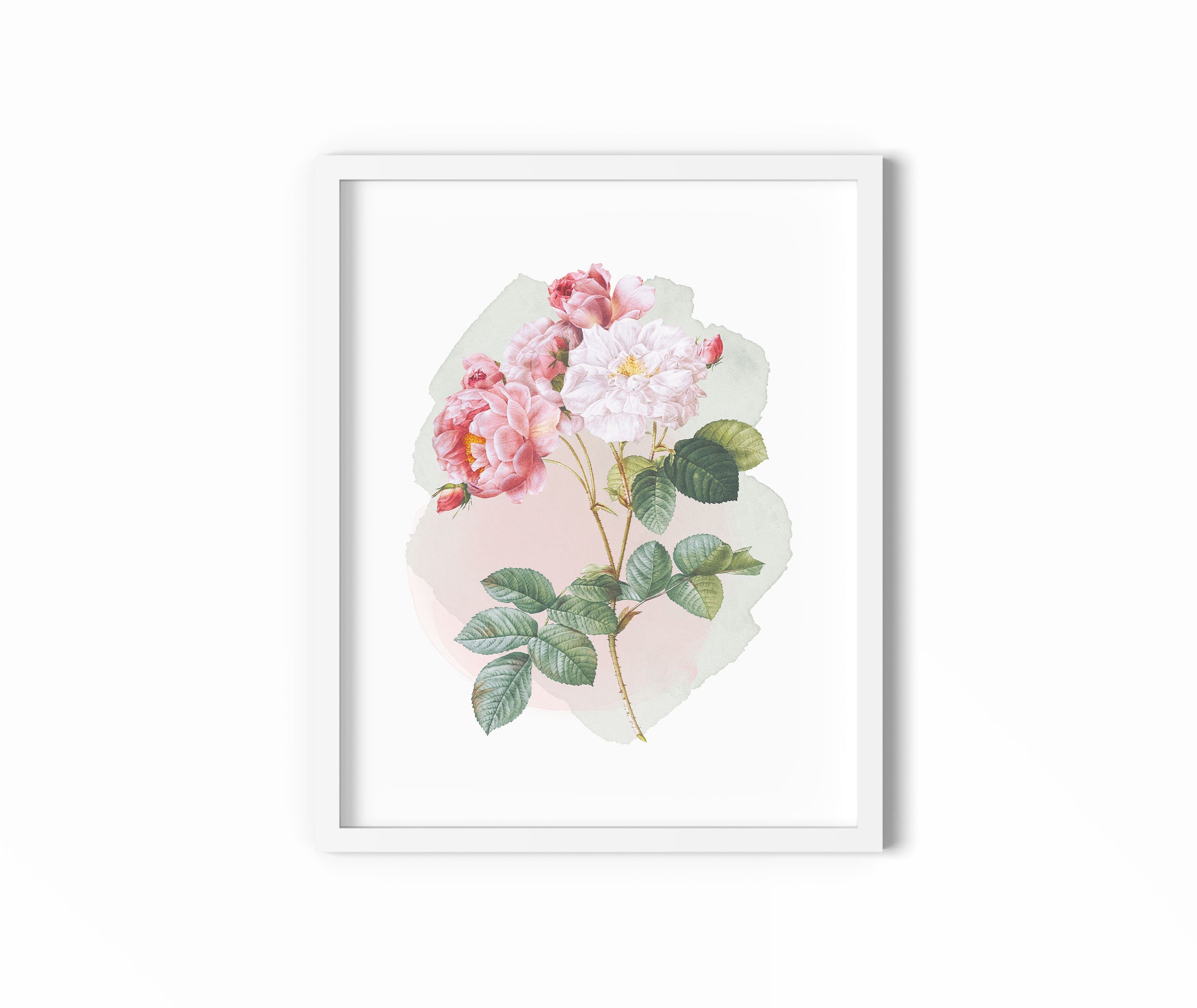 Pink Roses 2 Vintage Botanical Print Modern Watercolor | Etsy