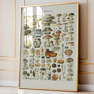 Vintage Botanical Mushroom Print, Adolphe Millot Collection Print, Kitchen Decor, Botanical Artwork, Vintage Bookplate, Printable Wall Art