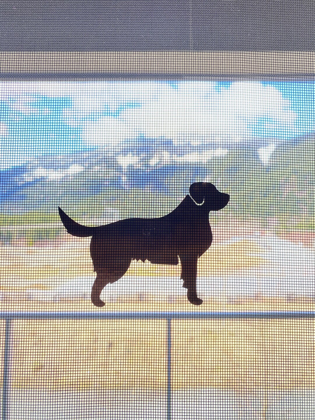 Retractable Screen Door Decals 5 per Pack Prevent Collisions Into