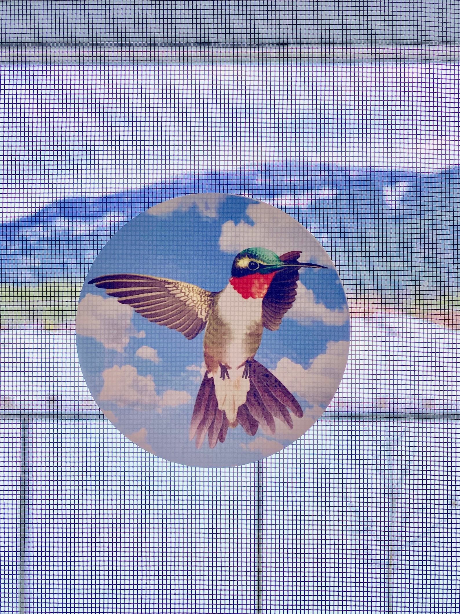 Retractable Screen Door Decals 6 per pack prevent Etsy