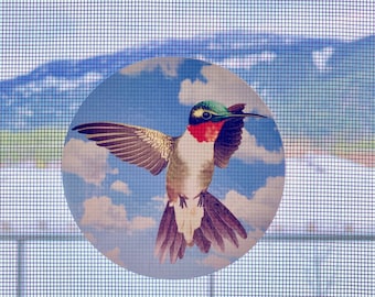 Dekaler för infällbara skärmdörrar - 6 per förpackning - förhindra kollisioner med skärmar, dekorera, skydda - Kolibrier