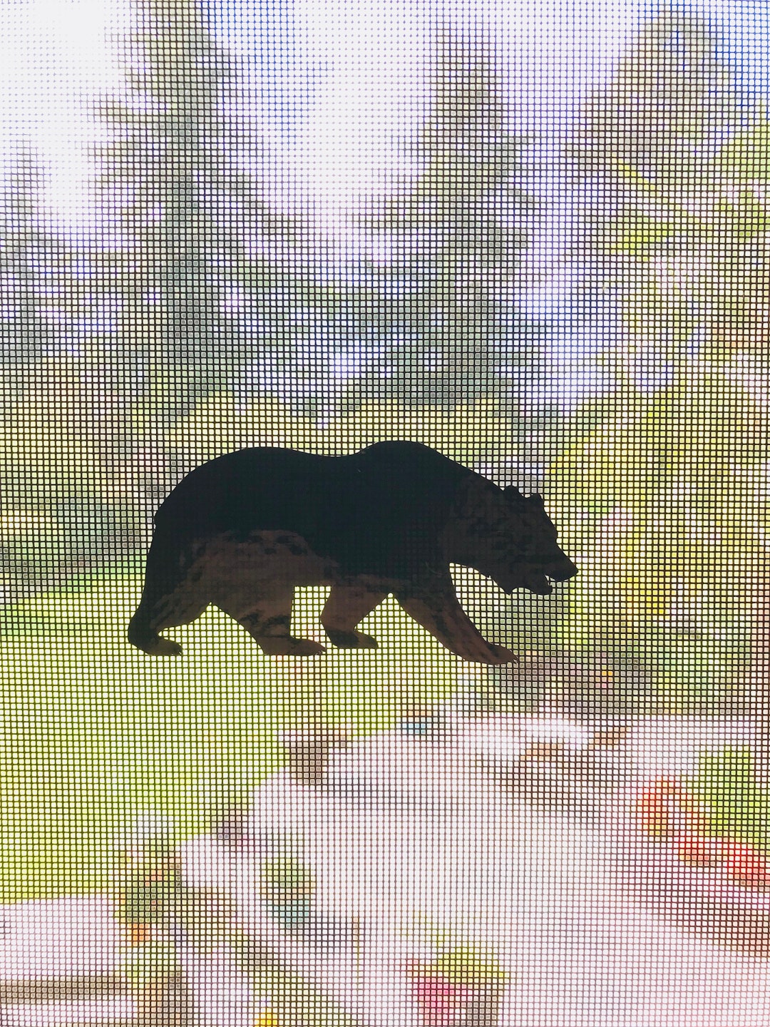 Retractable Screen Door Decals 5 per Pack Prevent Etsy