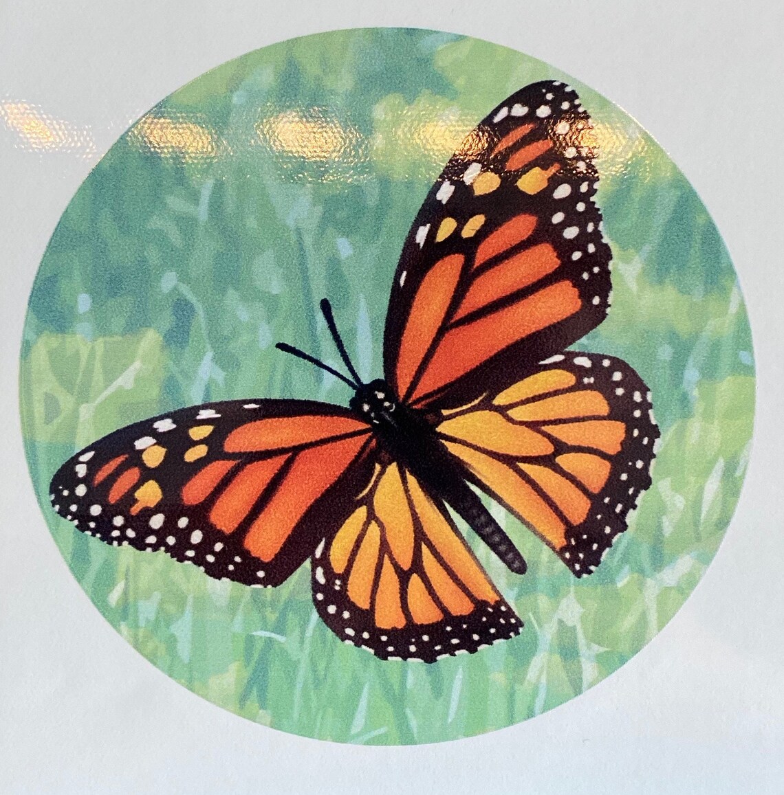 Retractable Screen Door Decals 6 per pack prevent Etsy