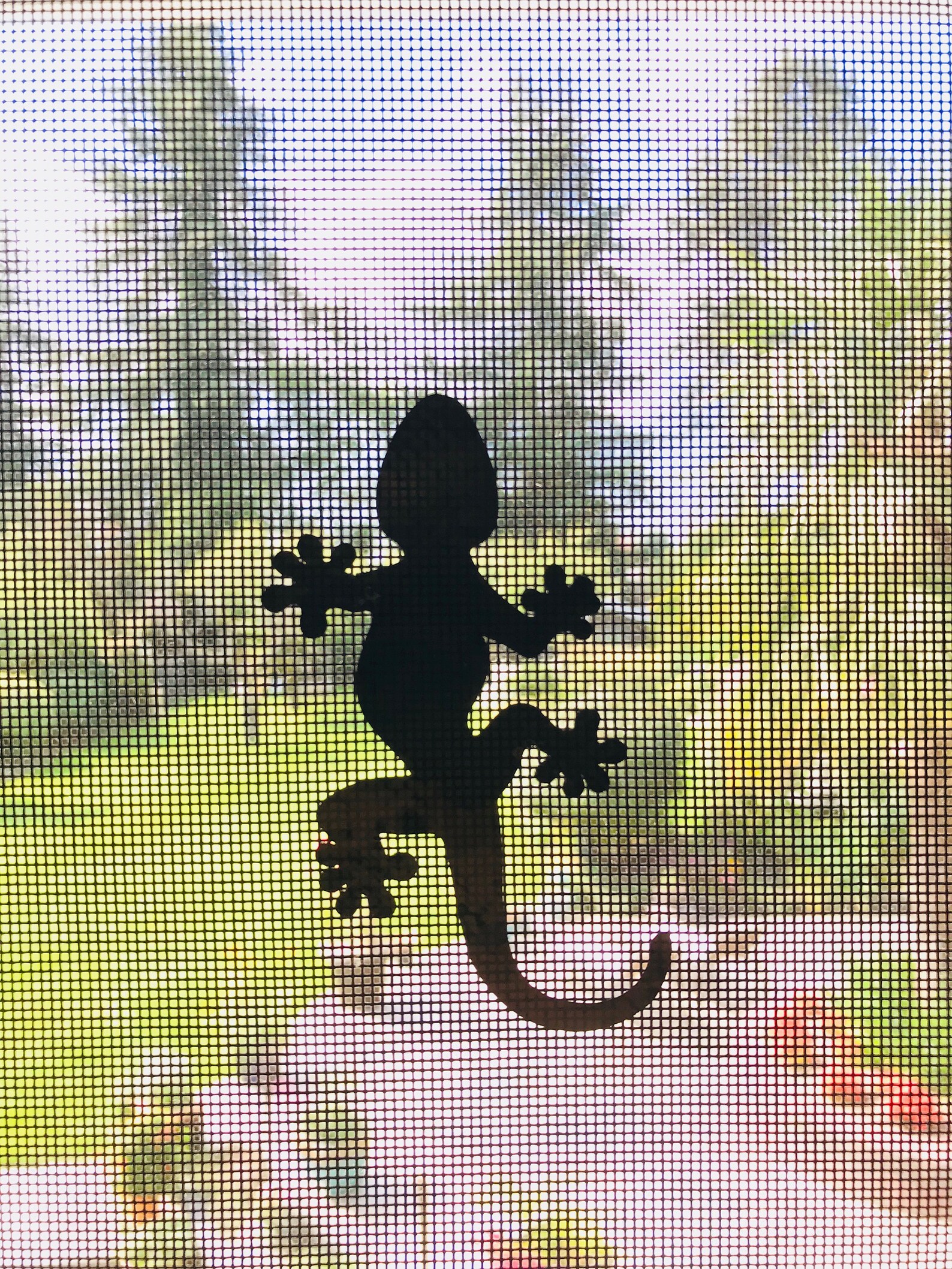 Retractable Screen Door Decals 5 per Pack Prevent Etsy