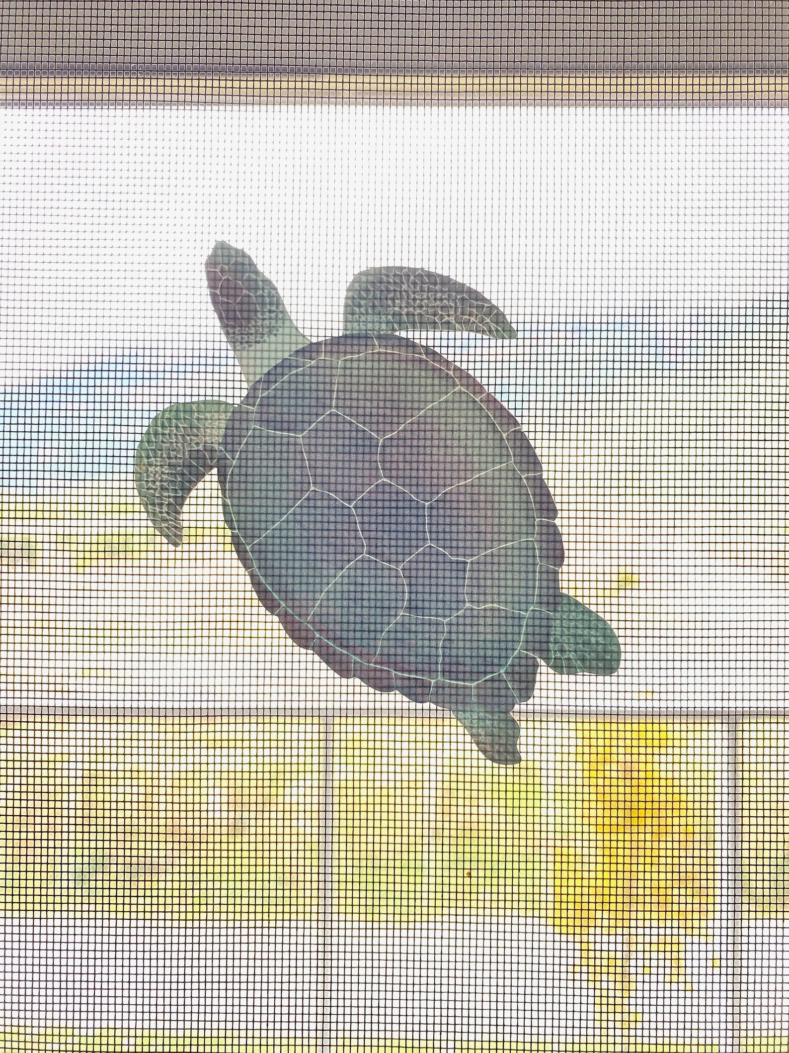 Retractable Screen Door Decals 6 per pack prevent Etsy