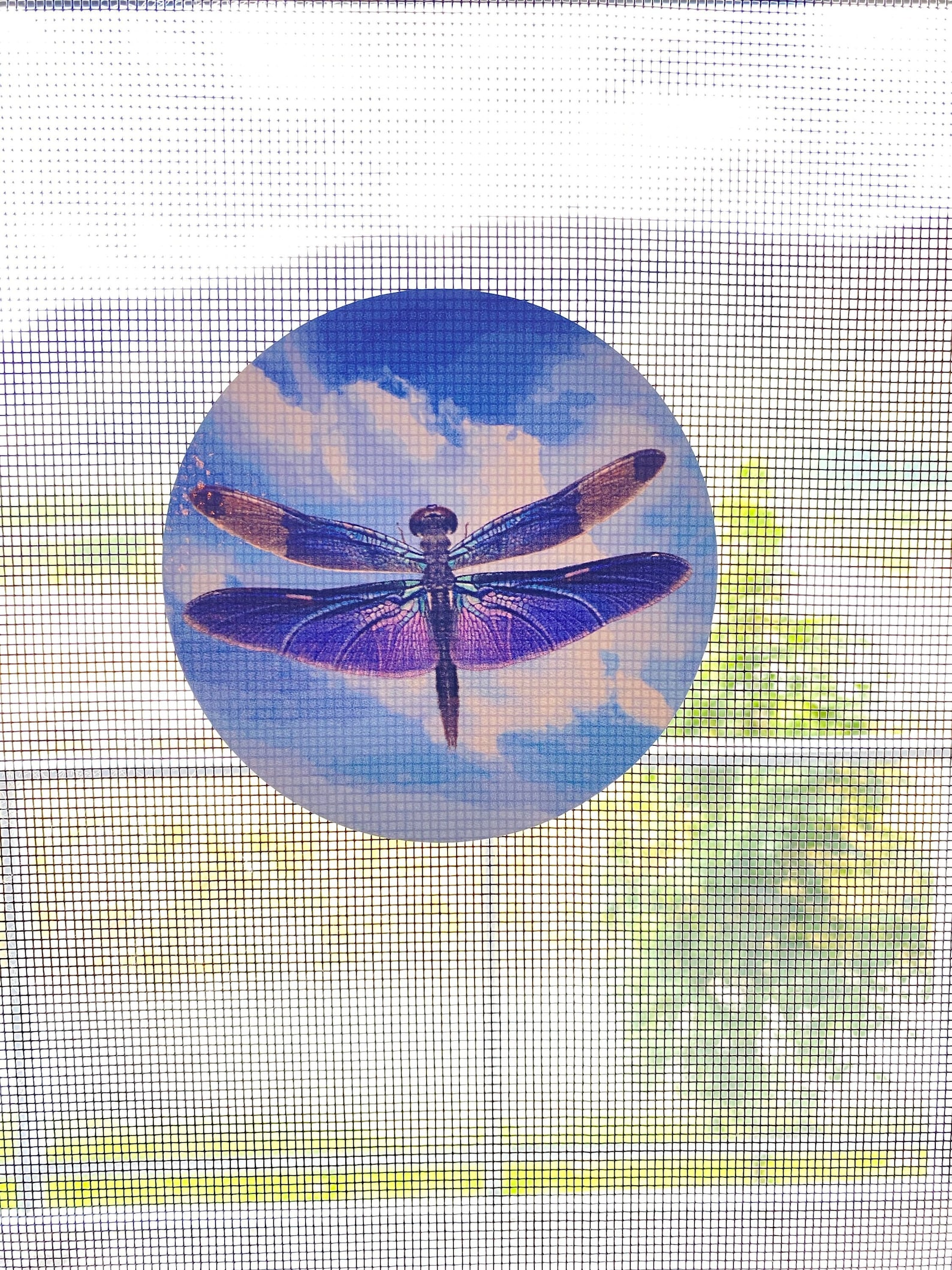 Retractable Screen Door Decals 6 per Pack Prevent Etsy