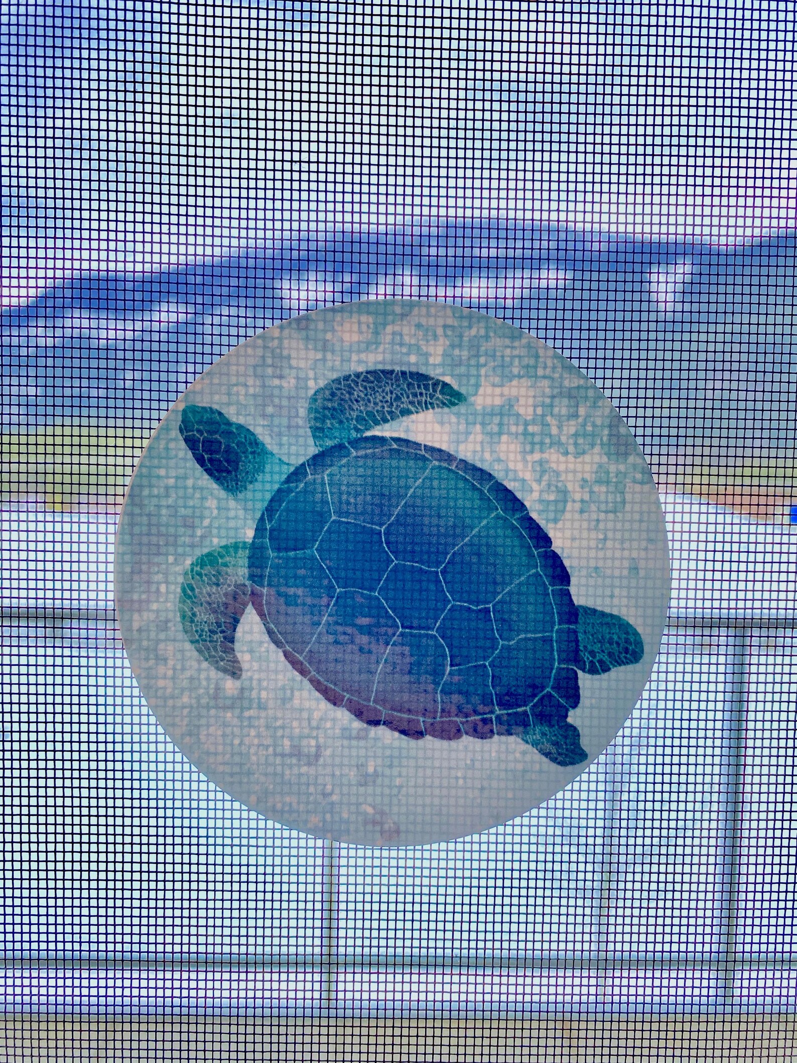 Retractable Screen Door Decals 6 per Pack Prevent Etsy