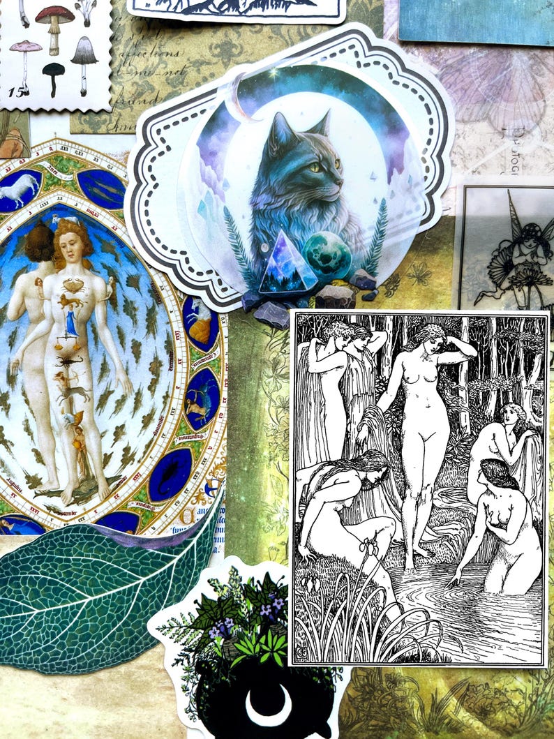 May include: A collection of decorative stickers featuring a cat in a crescent moon, a black and white illustration of figures in a forest, a zodiac-themed human figure, a green leaf, a black cauldron with a crescent moon, and mushroom stamps.