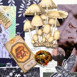 May include: A collage featuring a cluster of beige mushrooms, a brown tag labeled No 6 with a mushroom illustration, a bird nest with eggs, a black cat, a skeleton, a moth, a moon, and a fern leaf on a dark blue patterned background.
