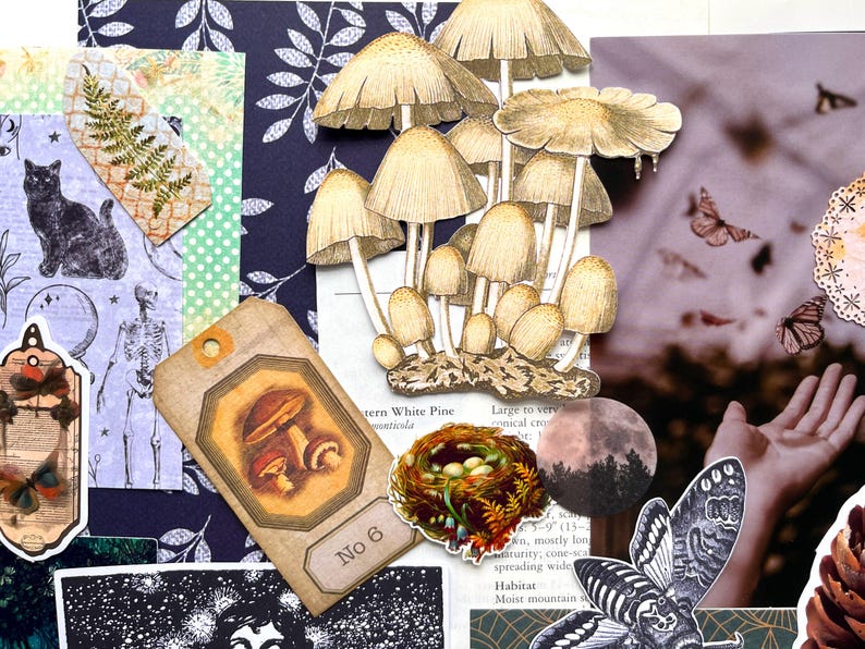 May include: A collage featuring a cluster of beige mushrooms, a brown tag labeled No 6 with a mushroom illustration, a bird nest with eggs, a black cat, a skeleton, a moth, a moon, and a fern leaf on a dark blue patterned background.