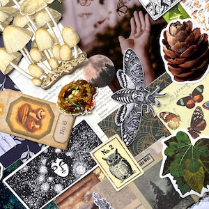 May include: A collection of assorted stickers and paper ephemera featuring illustrations of mushrooms, a pinecone, butterflies, a moth, an owl, a bird nest, and a human face. The items are arranged in a collage with various botanical and celestial motifs.