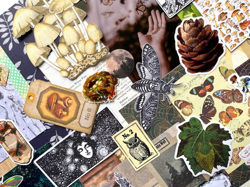 May include: A collection of assorted stickers and paper ephemera featuring illustrations of mushrooms, a pinecone, butterflies, a moth, an owl, a bird nest, and a human face. The items are arranged in a collage with various botanical and celestial motifs.