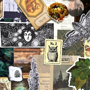 May include: A collection of vintage-style paper ephemera featuring various illustrations including a mushroom tag labeled No 6, a bird nest, a moon, a moth, a face in a starry sky, an owl card labeled No 2, a pine tree, and botanical leaves.