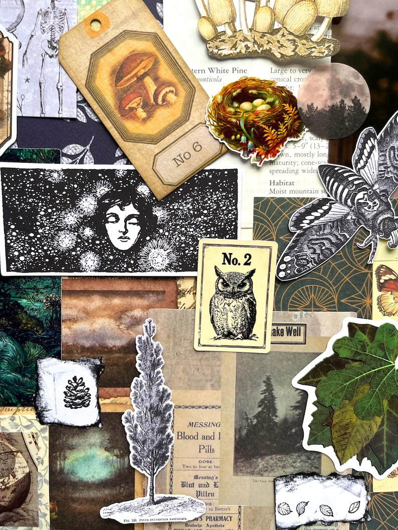 May include: A collection of vintage-style paper ephemera featuring various illustrations including a mushroom tag labeled No 6, a bird nest, a moon, a moth, a face in a starry sky, an owl card labeled No 2, a pine tree, and botanical leaves.