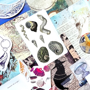 May include: A collection of vintage ephemera, including illustrations of seashells, maps, and botanical drawings. The colour scheme features blues, browns, and greens. Stickers and cut-out designs add a layered effect to the collage.